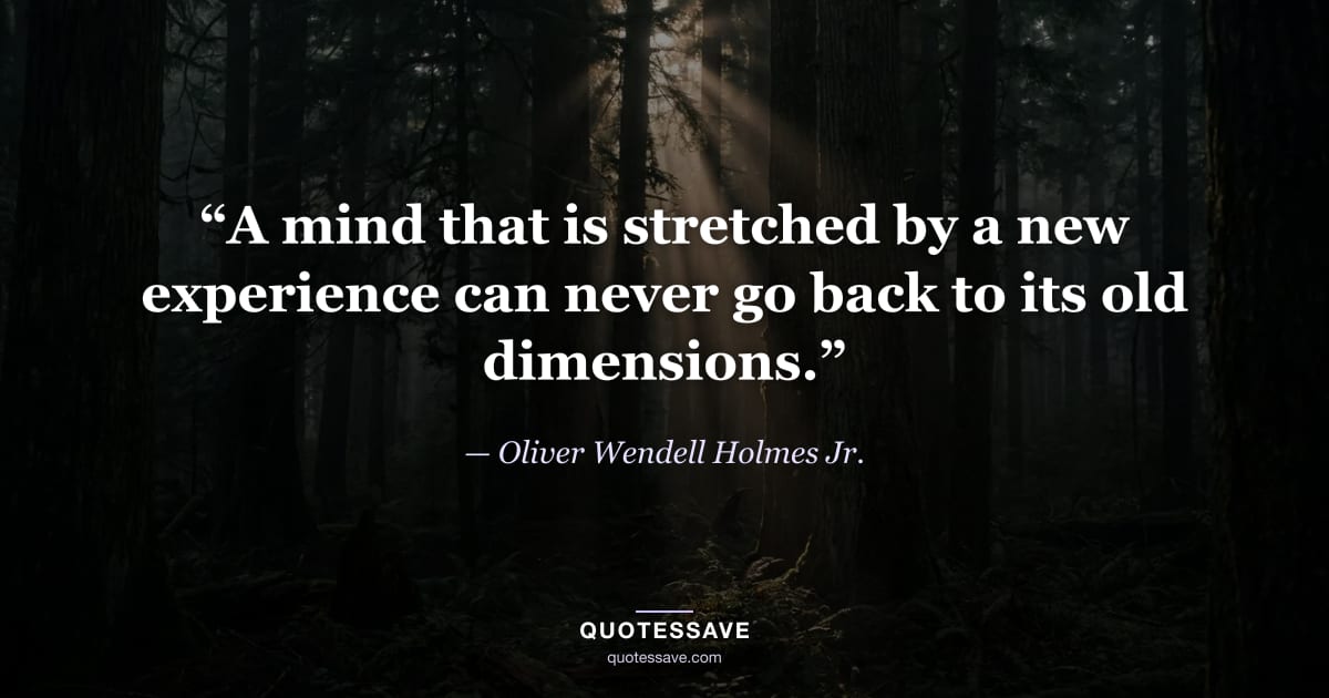 “A mind that is stretched by a new experience can never go back to its old dimensions.” — Oliver Wendell Holmes Jr.