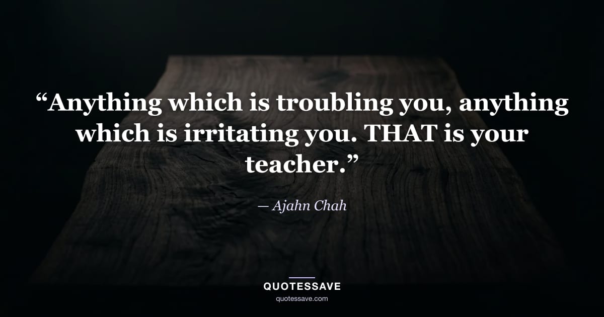“Anything which is troubling you, anything which is irritating you. THAT is your teacher.” — Ajahn Chah