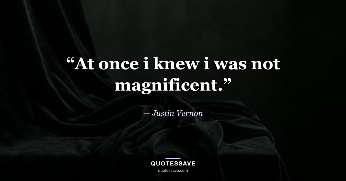 “At once i knew i was not magnificent.” — Justin Vernon