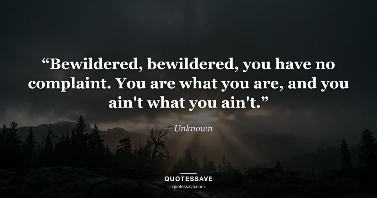 “Bewildered, bewildered, you have no complaint. You are what you are, and you ain't what you ain't.” — Unknown