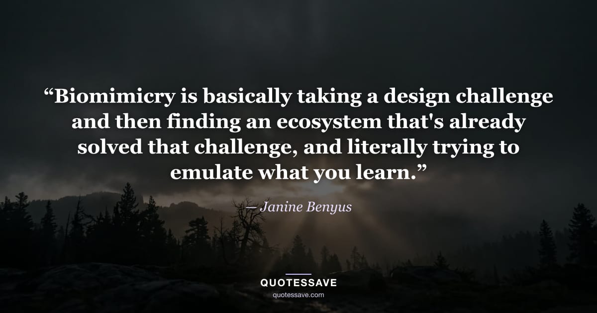 “Biomimicry is basically taking a design challenge and then finding an ecosystem that's already solved that challenge, and literally trying to emulate what you learn.” — Janine Benyus