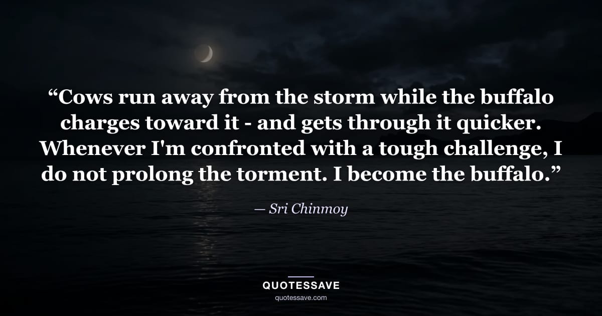“Cows run away from the storm while the buffalo charges toward it - and gets through it quicker. Whenever I'm confronted with a tough challenge, I do not prolong the torment. I become the buffalo.” — Sri Chinmoy