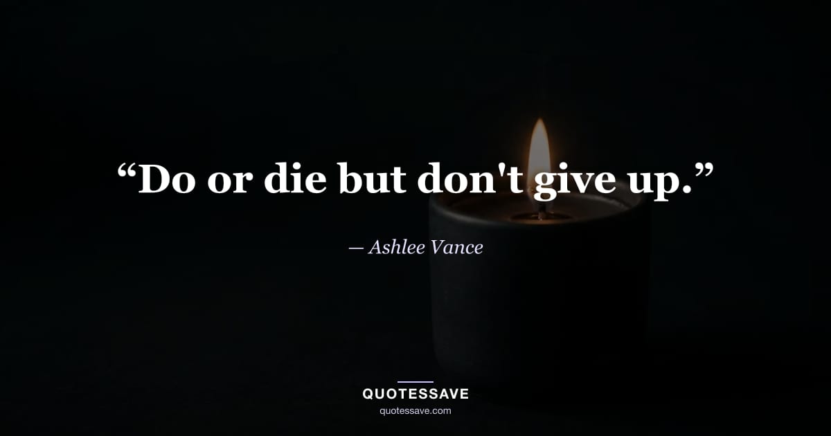 “Do or die but don't give up.” — Ashlee Vance