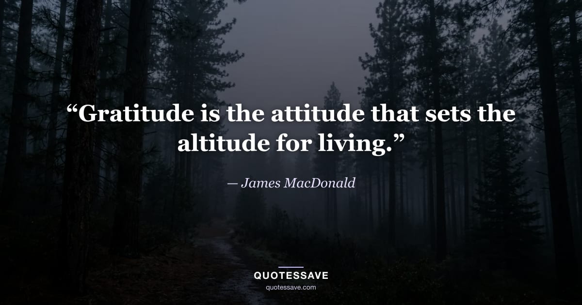 “Gratitude is the attitude that sets the altitude for living.” — James MacDonald