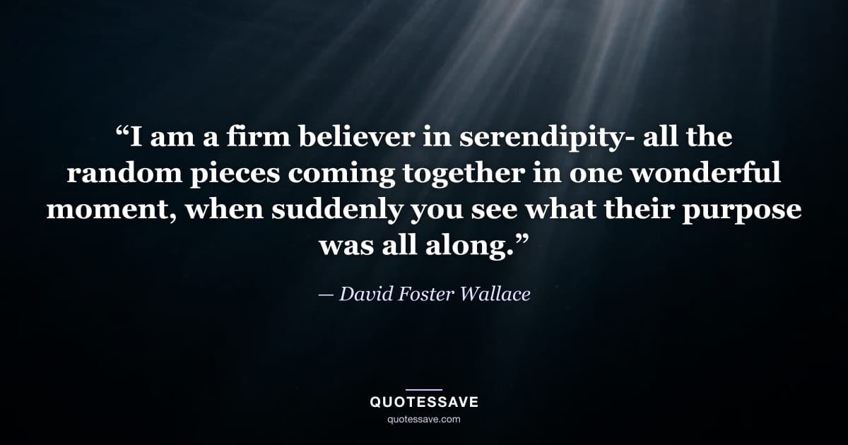 “I am a firm believer in serendipity- all the random pieces coming together in one wonderful moment, when suddenly you see what their purpose was all along.” — David Foster Wallace