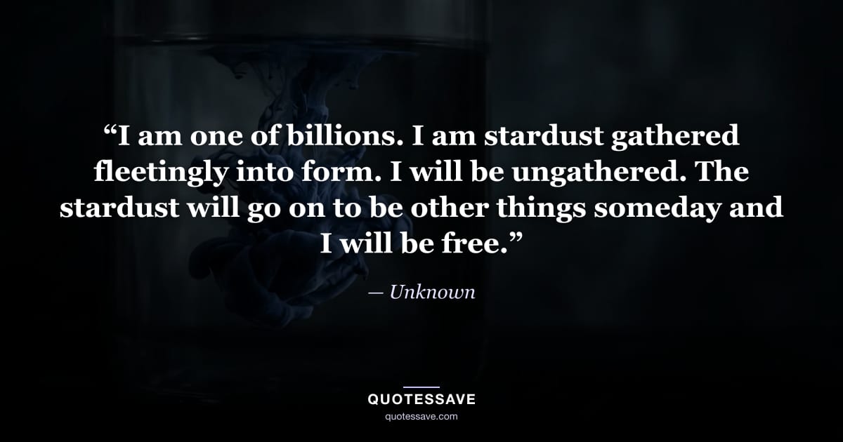 “I am one of billions. I am stardust gathered fleetingly into form. I will be ungathered. The stardust will go on to be other things someday and I will be free.” — Unknown