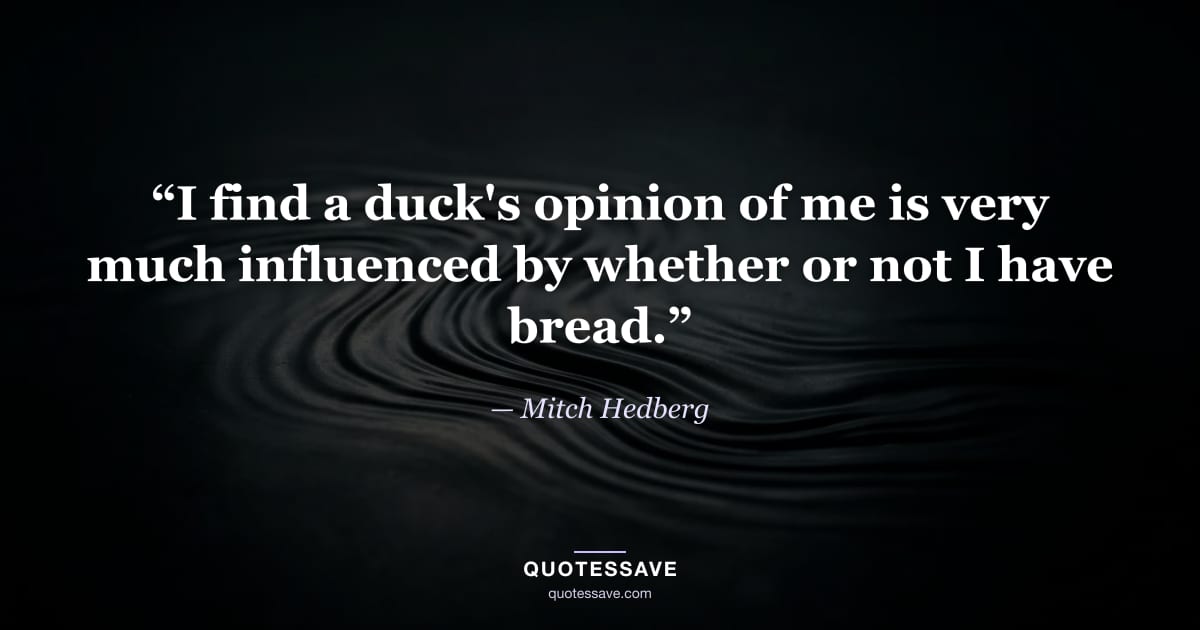 “I find a duck's opinion of me is very much influenced by whether or not I have bread.” — Mitch Hedberg