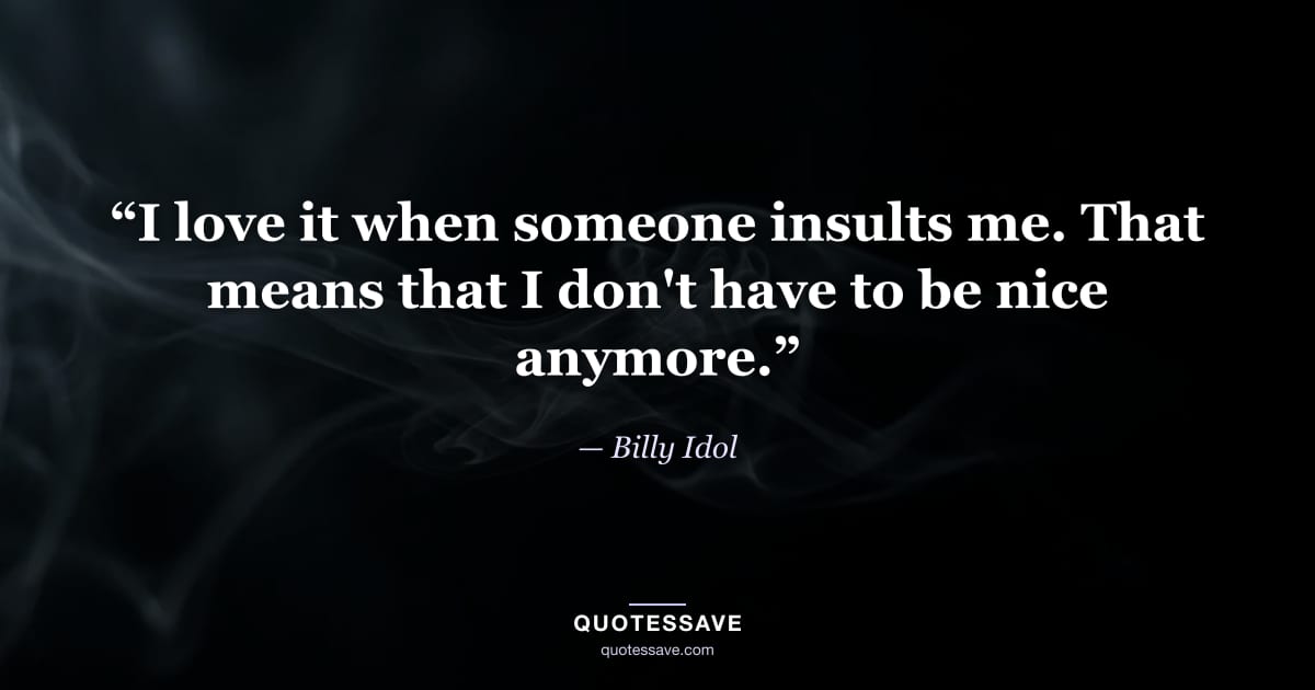 “I love it when someone insults me. That means that I don't have to be nice anymore.” — Billy Idol