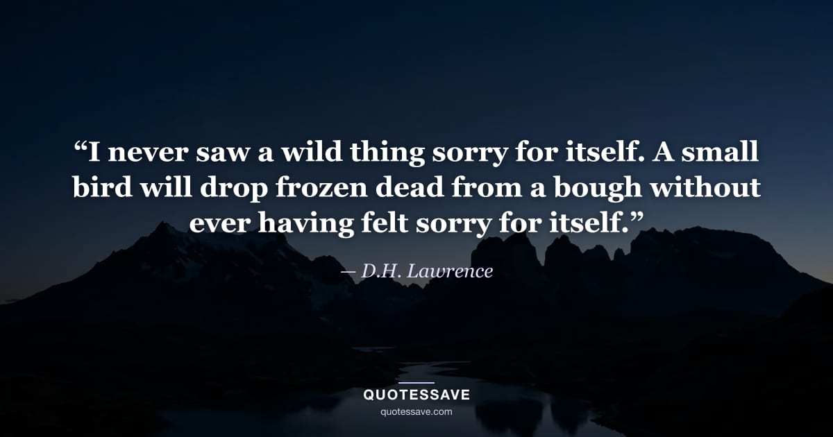 “I never saw a wild thing sorry for itself. A small bird will drop frozen dead from a bough without ever having felt sorry for itself.” — D.H. Lawrence