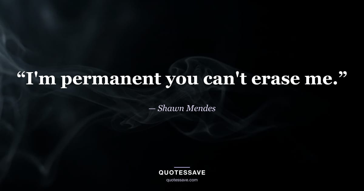 “I'm permanent you can't erase me.” — Shawn Mendes