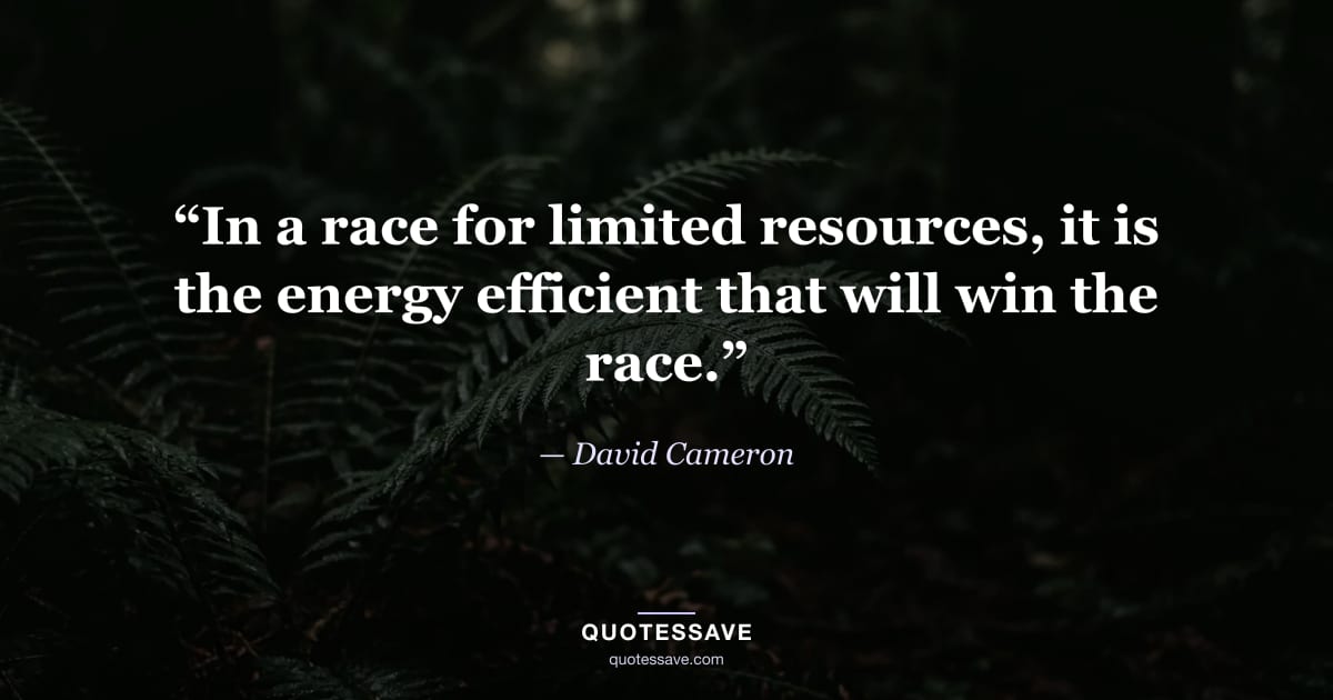 “In a race for limited resources, it is the energy efficient that will win the race.” — David Cameron