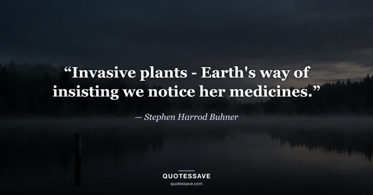 “Invasive plants - Earth's way of insisting we notice her medicines.” — Stephen Harrod Buhner