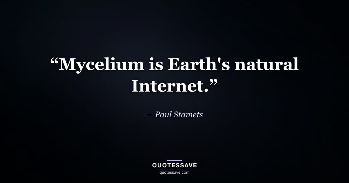 “Mycelium is Earth's natural Internet.” — Paul Stamets