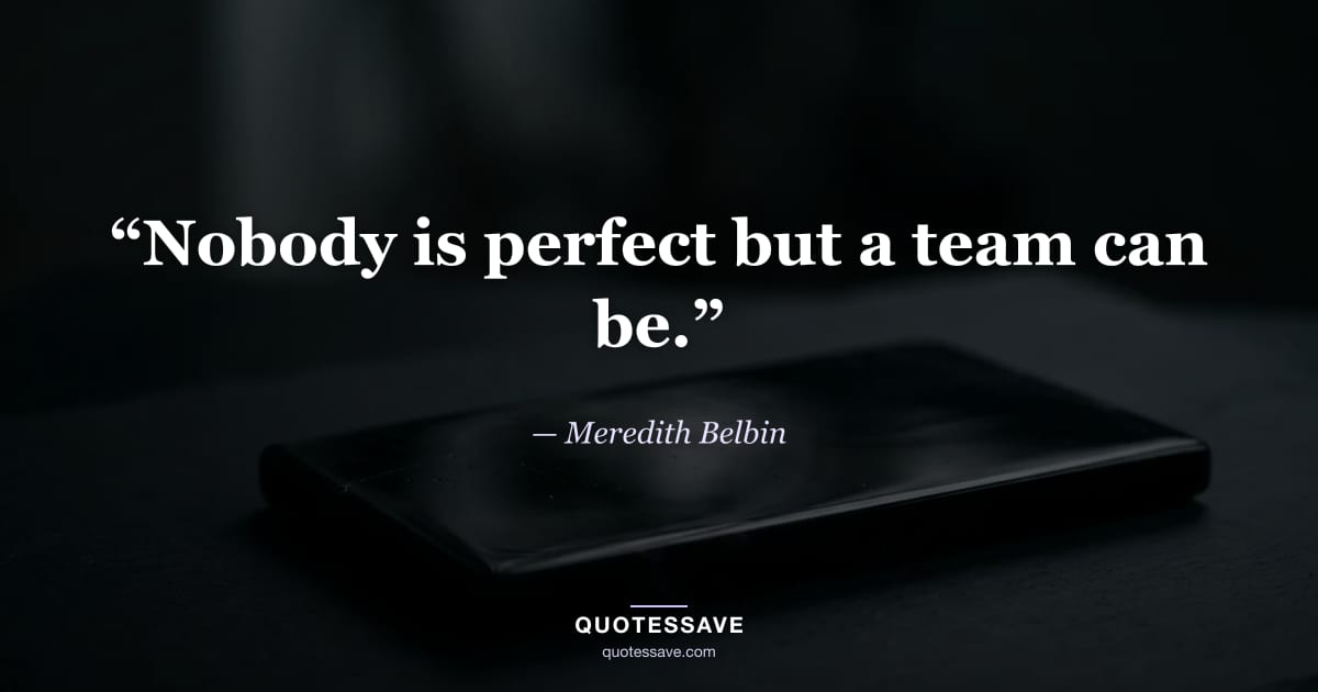 “Nobody is perfect but a team can be.” — Meredith Belbin