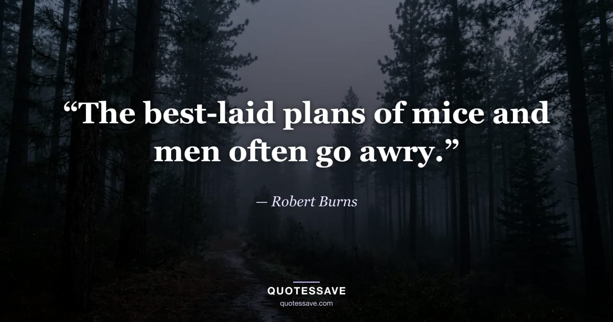 “The best-laid plans of mice and men often go awry.” — Robert Burns