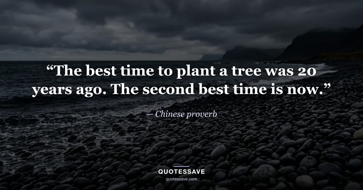 “The best time to plant a tree was 20 years ago. The second best time is now.” — Chinese proverb