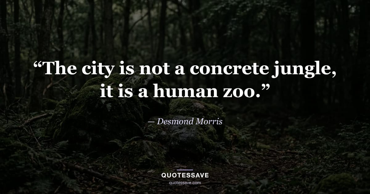 “The city is not a concrete jungle, it is a human zoo.” — Desmond Morris