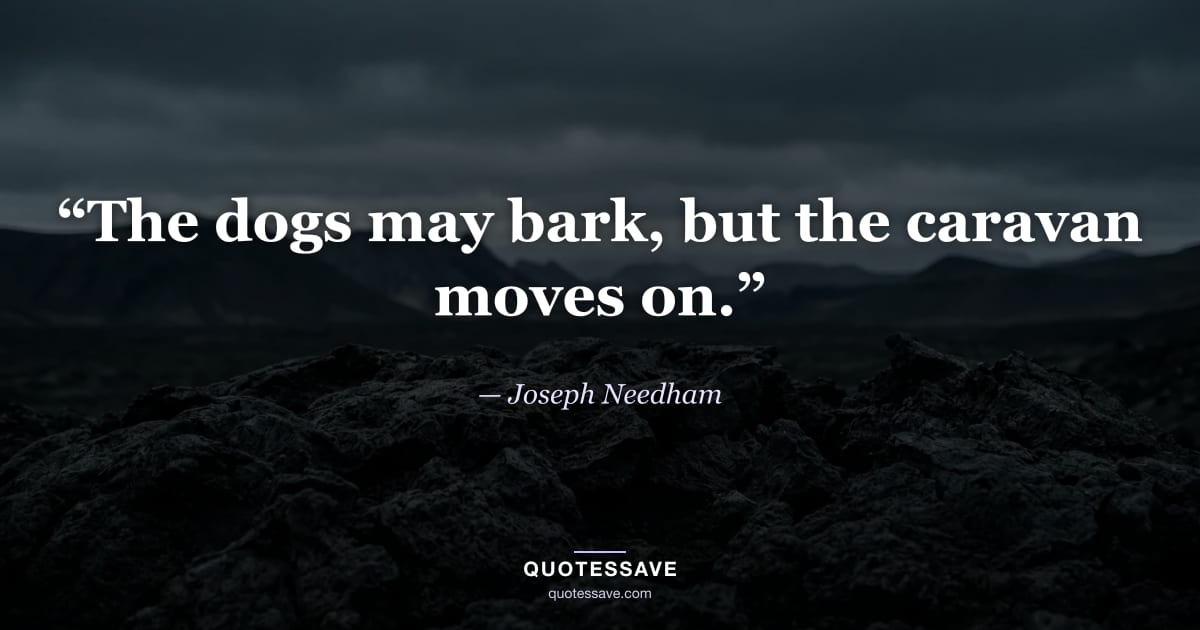 “The dogs may bark, but the caravan moves on.” — Joseph Needham