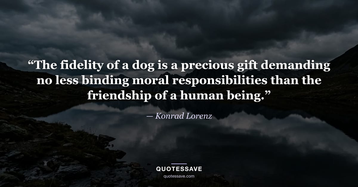 “The fidelity of a dog is a precious gift demanding no less binding moral responsibilities than the friendship of a human being.” — Konrad Lorenz