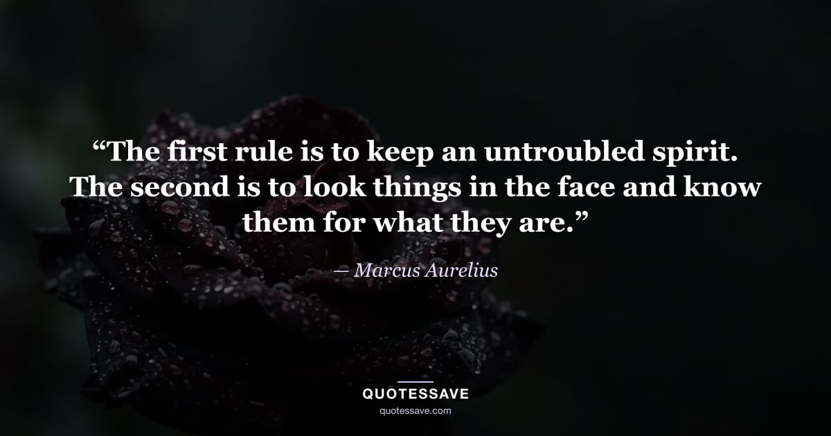 “The first rule is to keep an untroubled spirit. The second is to look things in the face and know them for what they are.” — Marcus Aurelius