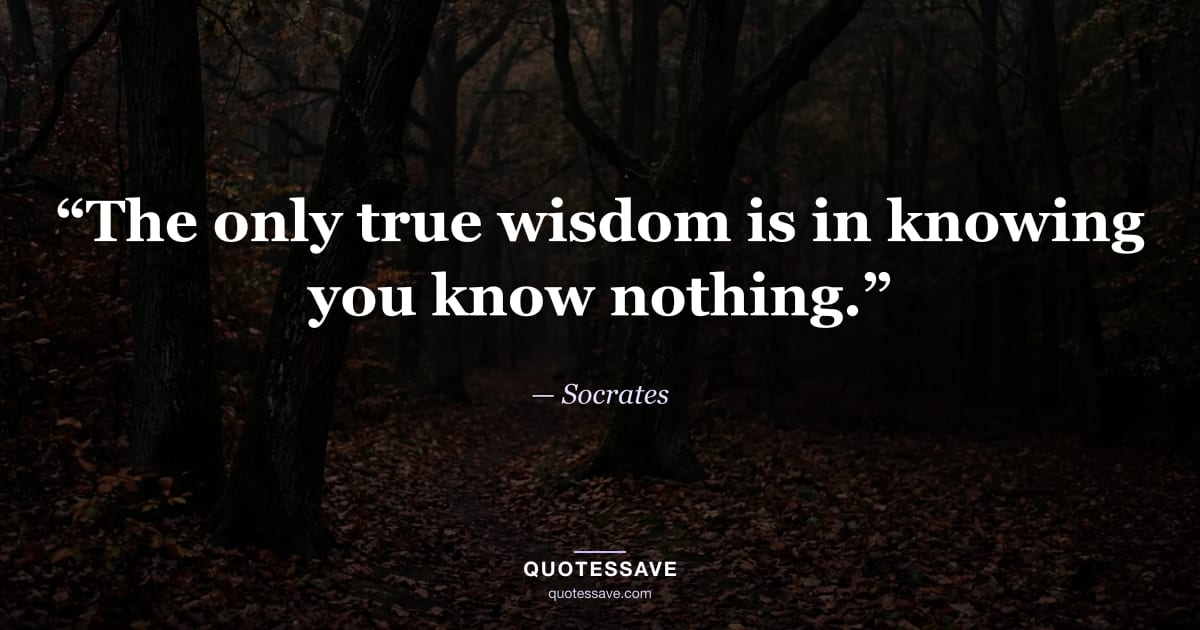 “The only true wisdom is in knowing you know nothing.” — Socrates