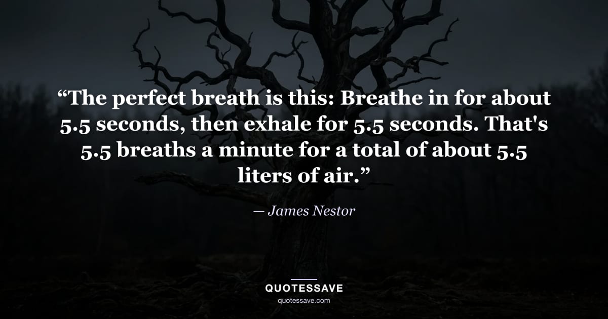 “The perfect breath is this: Breathe in for about 5.5 seconds, then exhale for 5.5 seconds. That's 5.5 breaths a minute for a total of about 5.5 liters of air.” — James Nestor