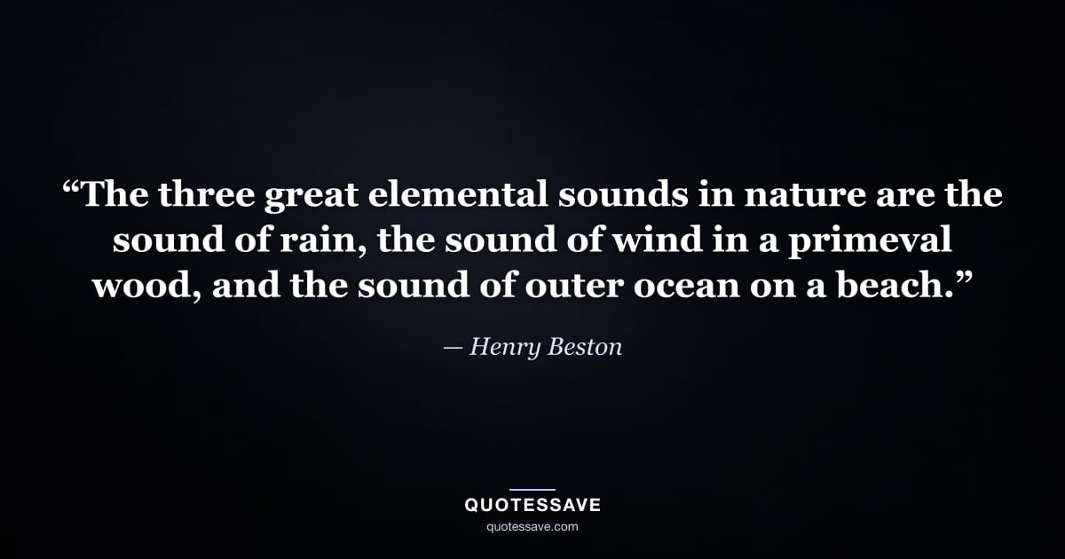 “The three great elemental sounds in nature are the sound of rain, the sound of wind in a primeval wood, and the sound of outer ocean on a beach.” — Henry Beston