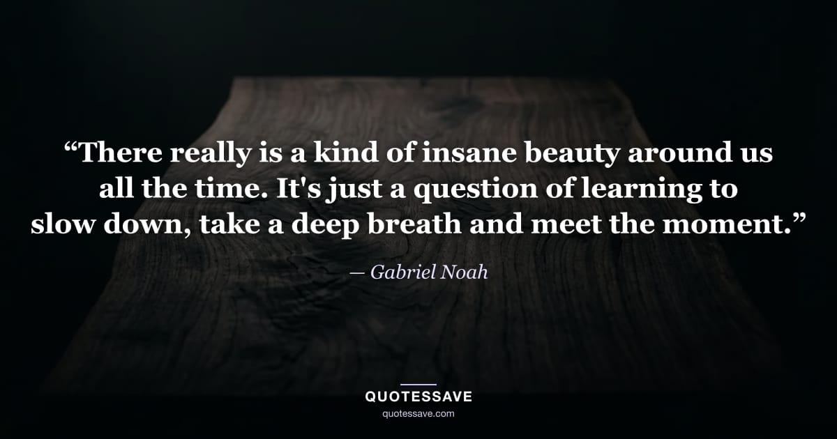 “There really is a kind of insane beauty around us all the time. It's just a question of learning to slow down, take a deep breath and meet the moment.” — Gabriel Noah