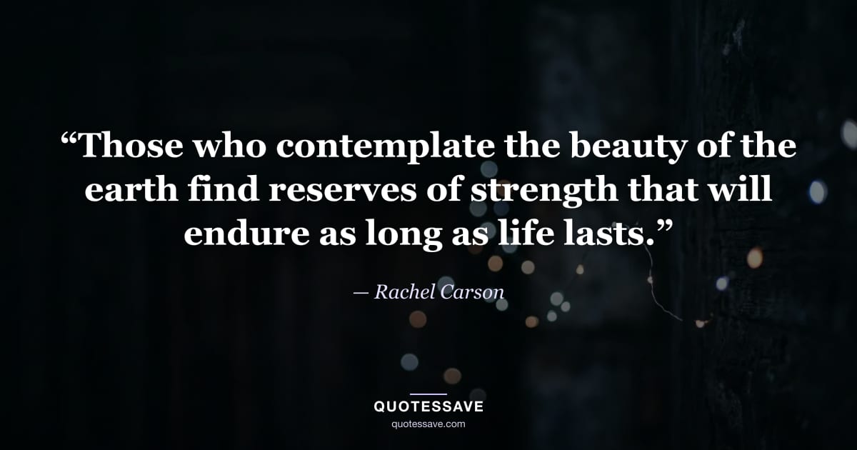 “Those who contemplate the beauty of the earth find reserves of strength that will endure as long as life lasts.” — Rachel Carson