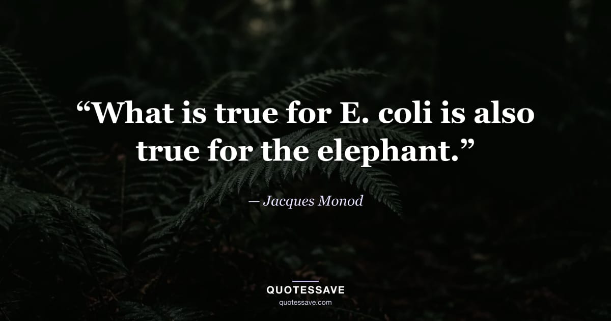 “What is true for E. coli is also true for the elephant.” — Jacques Monod