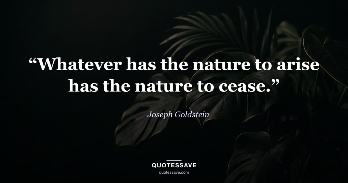 “Whatever has the nature to arise has the nature to cease.” — Joseph Goldstein