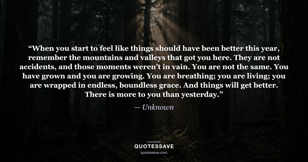 “When you start to feel like things should have been better this year, remember the mountains and valleys that got you here. They are not accidents, and those moments weren't in vain. You are not the same. You have grown and you are growing. You are breathing; you are living; you are wrapped in endless, boundless grace. And things will get better. There is more to you than yesterday.” — Unknown
