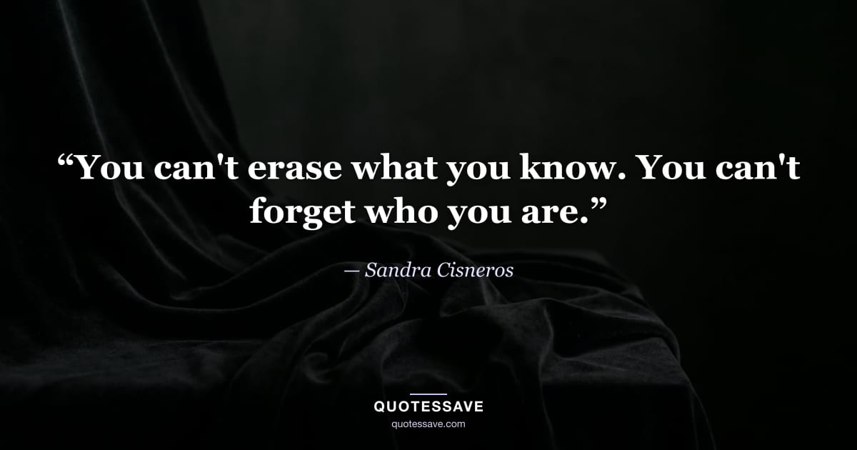 “You can't erase what you know. You can't forget who you are.” — Sandra Cisneros