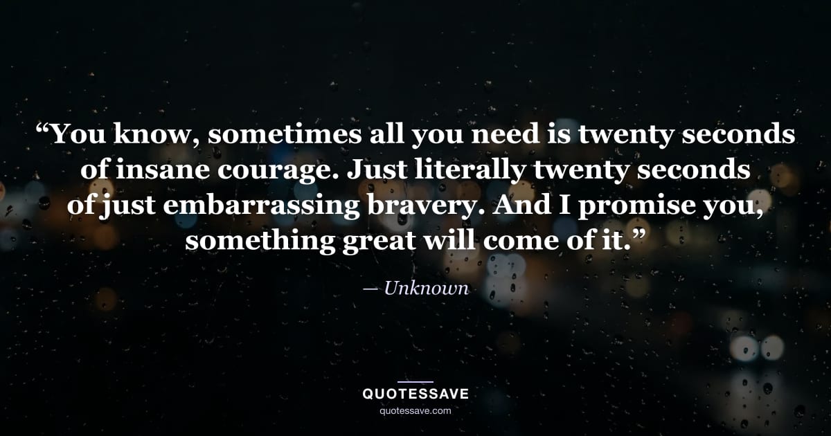 “You know, sometimes all you need is twenty seconds of insane courage. Just literally twenty seconds of just embarrassing bravery. And I promise you, something great will come of it.” — Unknown